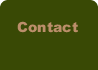 Financial Planning Services