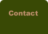 Financial Planning Services